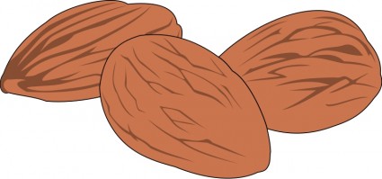 Nut Tree Clipart #1