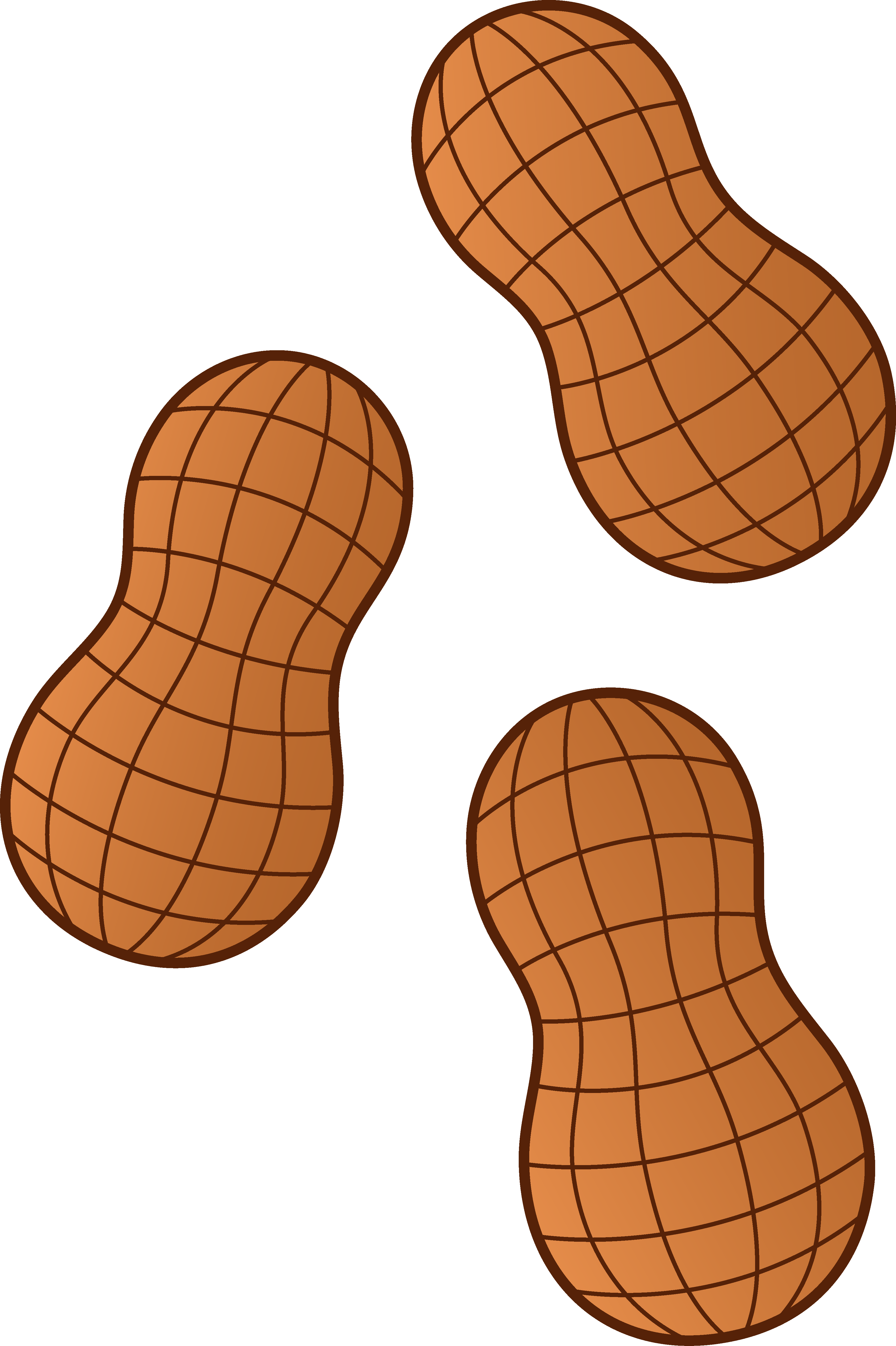 Nut Clipart Peanuts Png