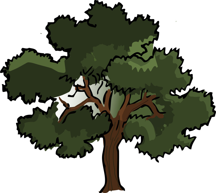 oak clipart - Oak Tree Clipart