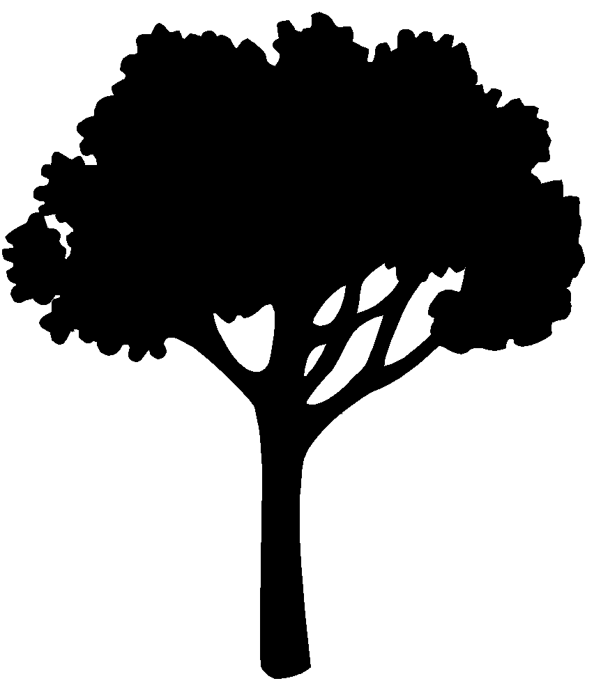 oak tree silhouette