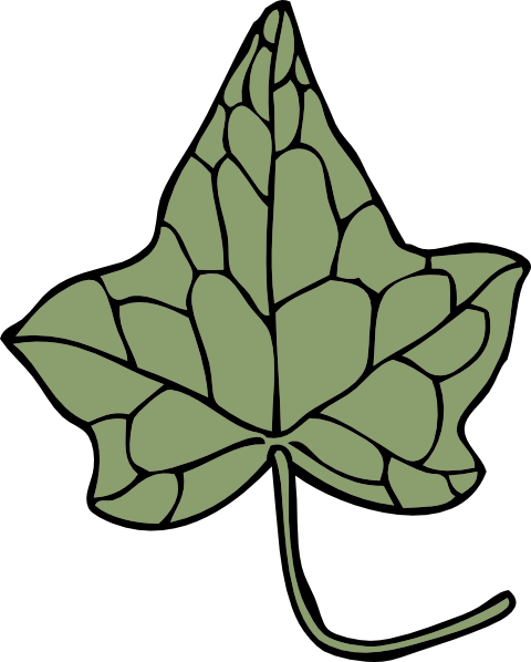 Oak Ivy Leaf Clip Art At Clker Com Vector Clip Art Online Royalty