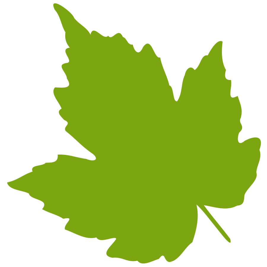 Green Pumpkin Leaf Clipart Cl