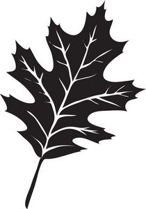 Fall Leaves Clipart Black And