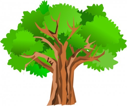 Clipart Oak Trees Black And W