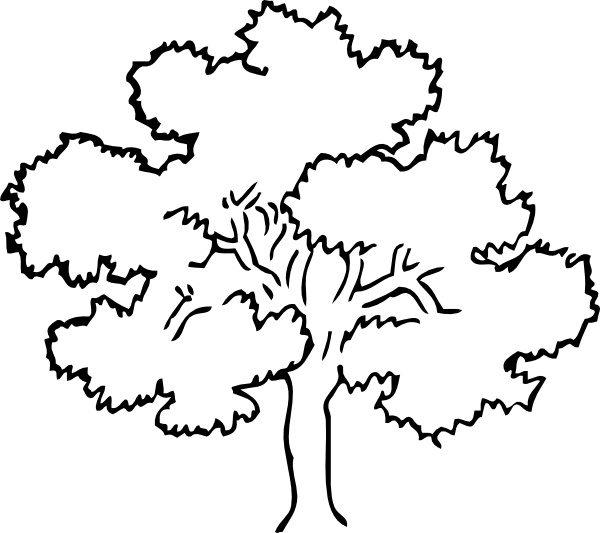 Oak Tree clip art - Oak Tree Clipart