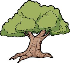 Oak Tree Clip Art | Tree Oak  - Oak Tree Clipart