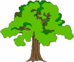 ... Oak Trees Clipart - Free Clipart Images ...