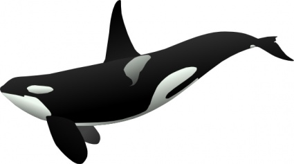 ocean animals clipart black a - Ocean Animal Clipart