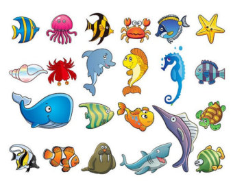 ocean animals clip art Gallery