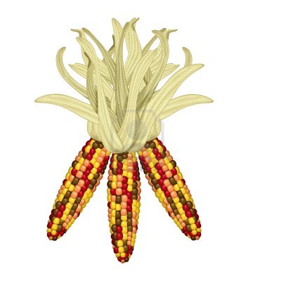October Field Trips Moffett R - Indian Corn Clipart