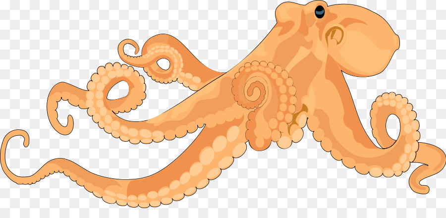 Octopus Free content Clip art - Octopus Cliparts