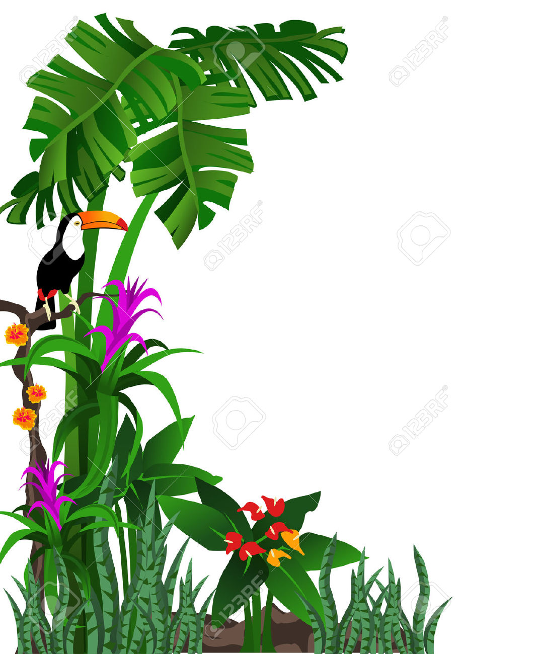 of a tropical forest with . - Tropical Rainforest Clipart