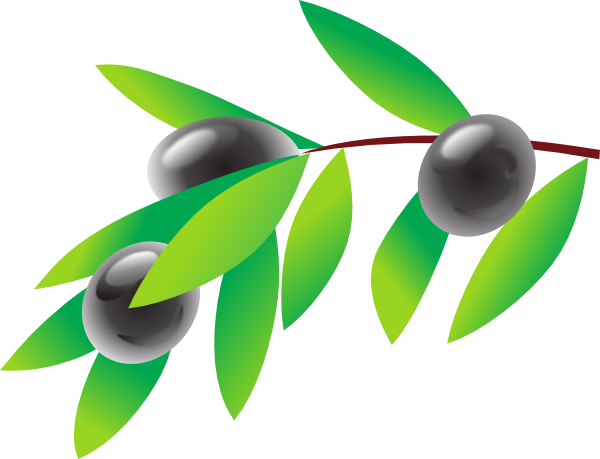 Olive Branch Clip Art At Clke - Olive Clipart