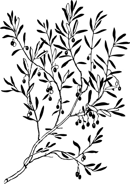 Olive Branch clip art - Olive Branch Clip Art