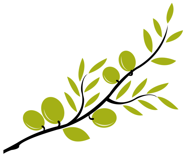 Olive Branch Clipart - Olive Branch Clipart