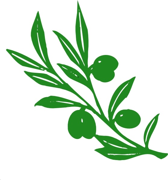 Olive Tree Branch clip art - Olive Branch Clipart