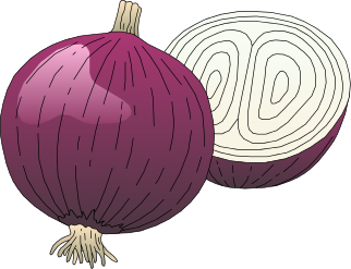 onion clipart