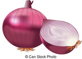 Red onion Stock Illustrationby ClipartLook.com 
