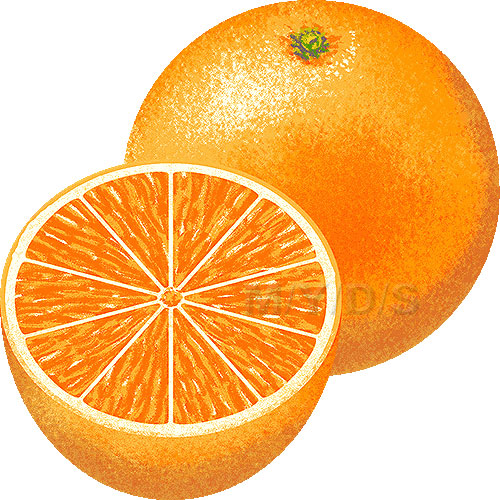 orange clipart - Clipart Orange
