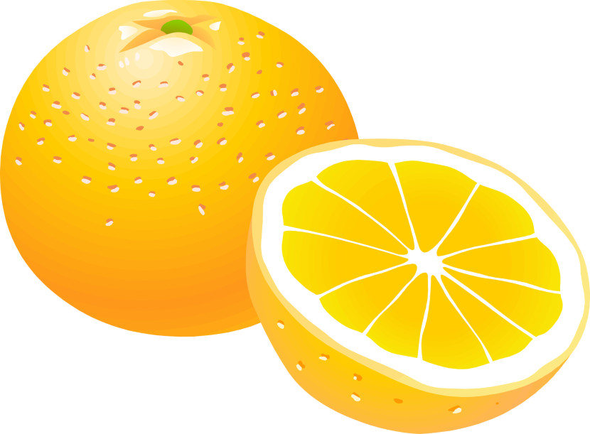 Oranges Clipart - Clipart lib