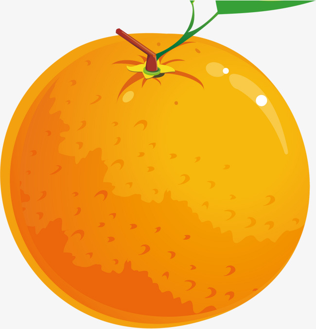 orange cartoon orange, Orange Clipart, Cartoon Clipart, Orange PNG Image  and Clipart