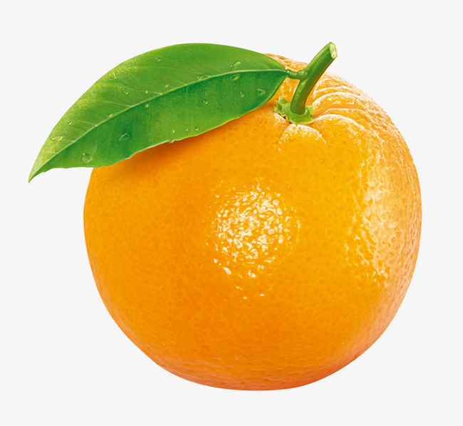 orange fruit, Orange Clipart, - Orange Clipart