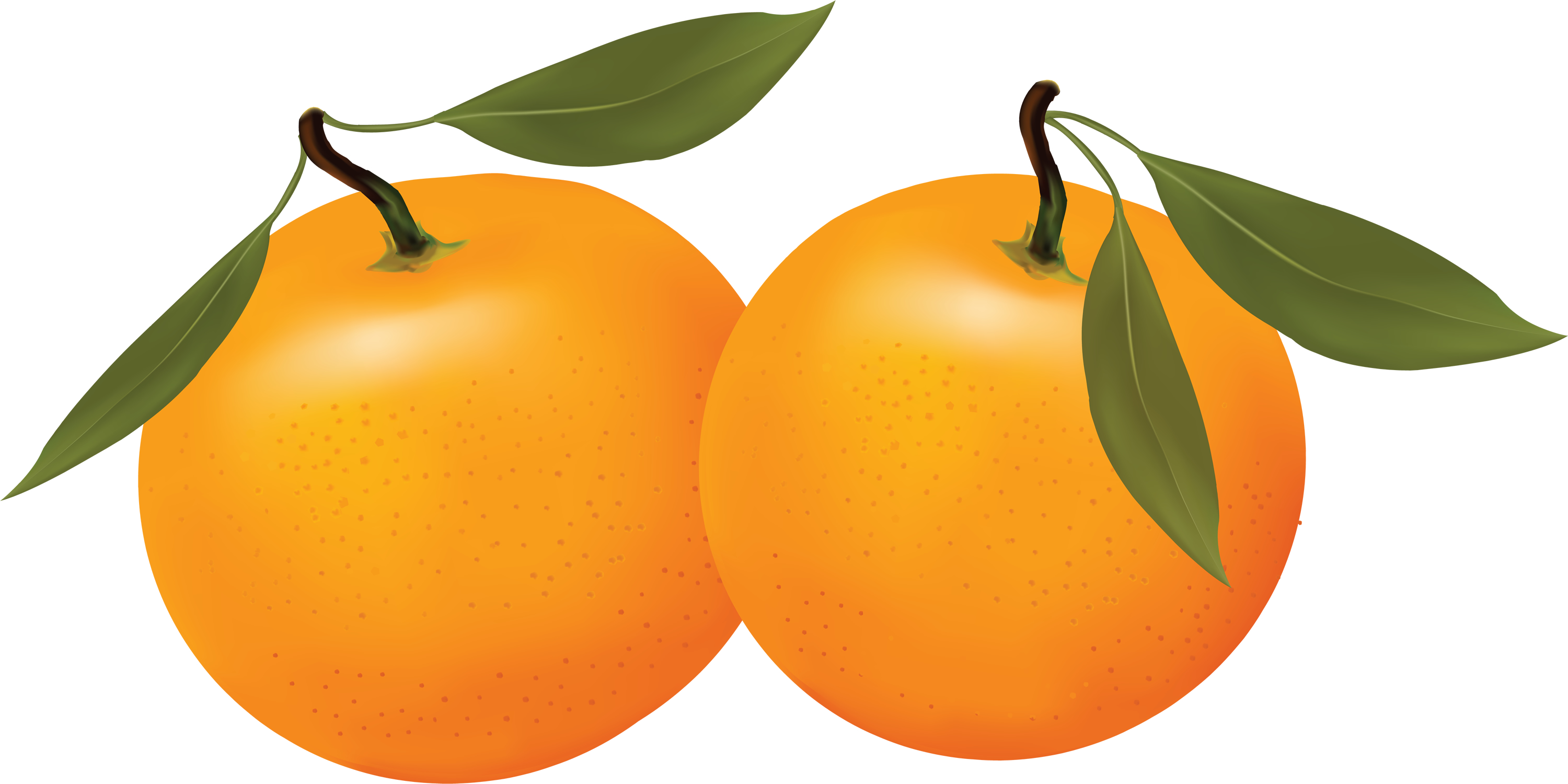 Orange Fruit Cartoon Clipart Free Clip Art Images