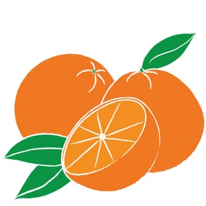 Oranges clipart image