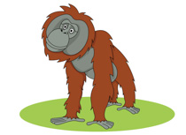 Orangutan Clipart Size: 89 Kb