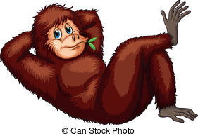 ... Orangutan - Illustration of an orangutan