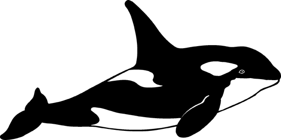 orca whale clipart