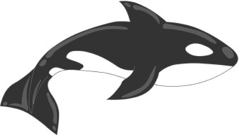 Orca Clip Art - Orca Clip Art