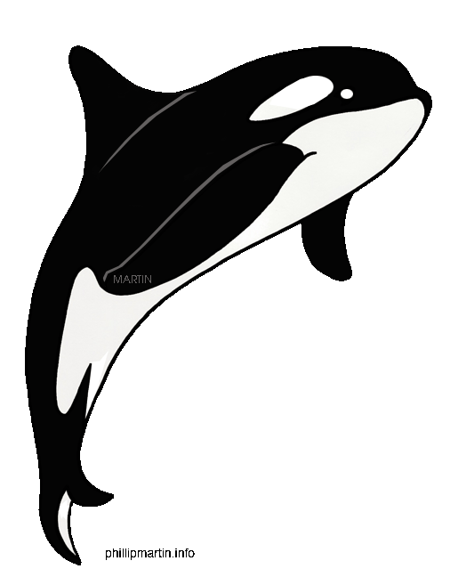 Orca whale clip art - Clipart