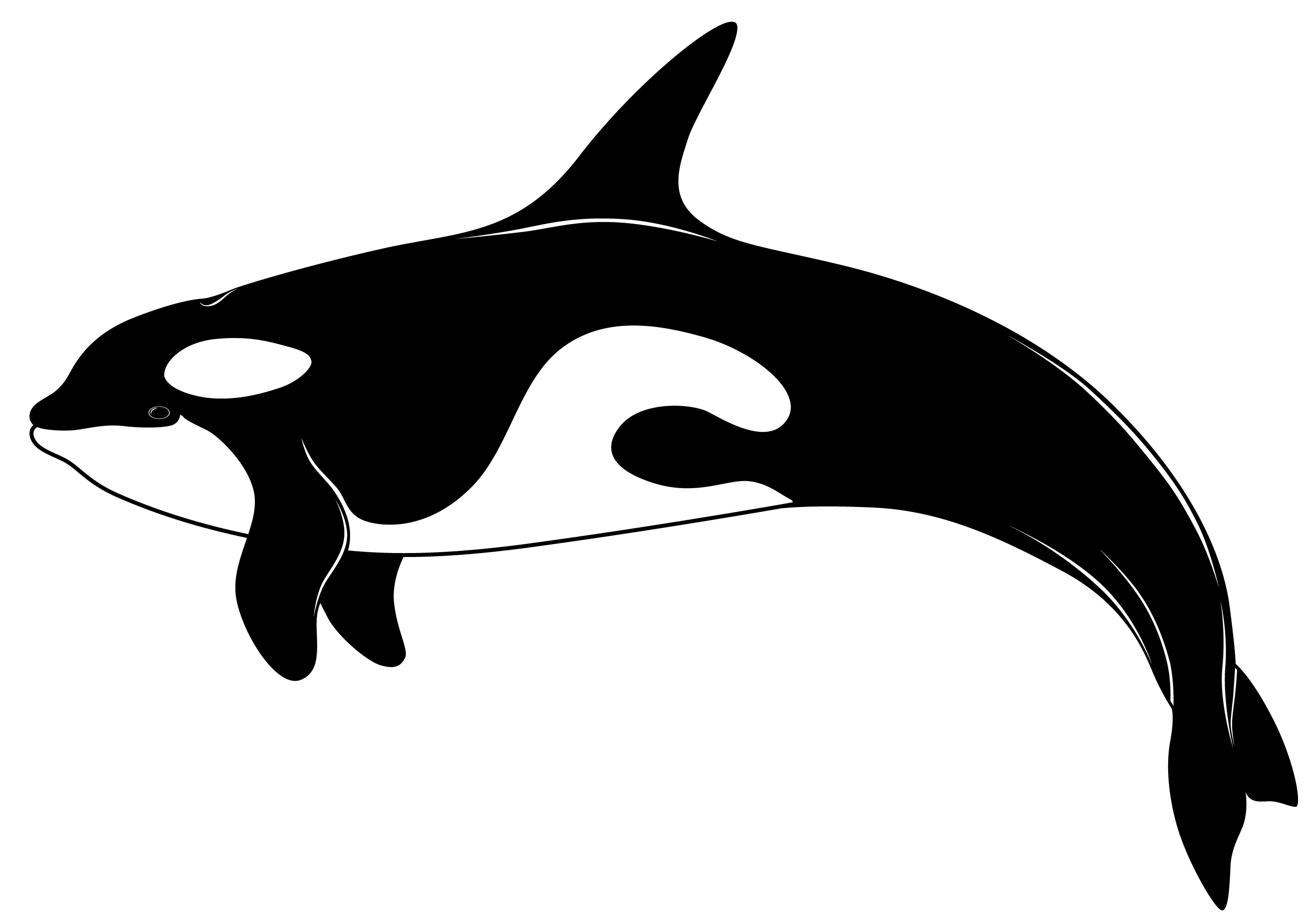 Cute killer whale clip art .