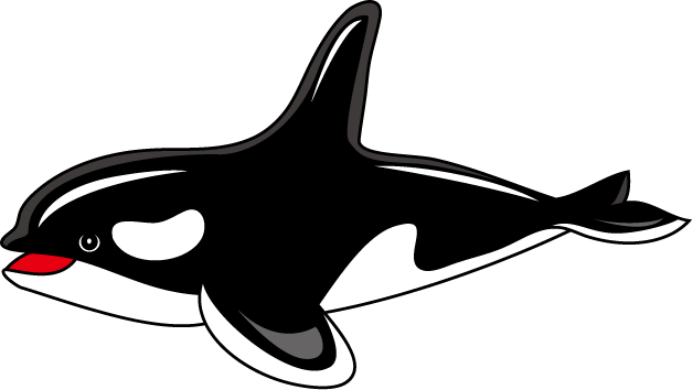 Orca Clipart | Free Download Clip Art | Free Clip Art | on Clipart .