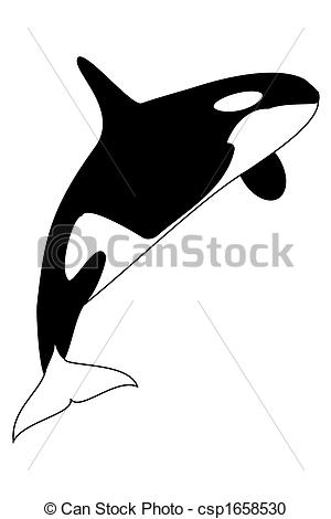 Orca Clipartby MIRO3D1/46; Killer Whale - A blacm and white killer whale