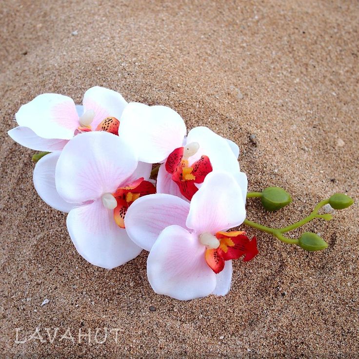 Orchid Pink/White Hawaiian Flower Hair Clip