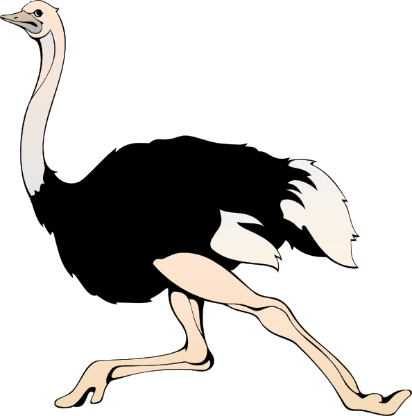 Ostrich Clip Art - Ostrich Clip Art