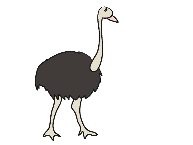 This cute adorable ostrich cl