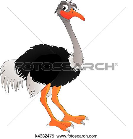 ostrich - Ostrich Clipart