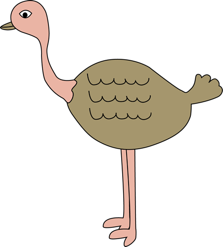 Ostrich - Ostrich Clipart