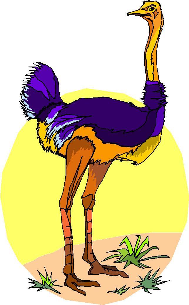 Ostriches clip art - Ostrich Clipart