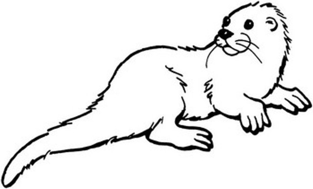 Sea Otter Cartoon