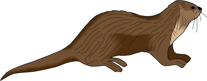 Otter Clipart - Otter Clip Art
