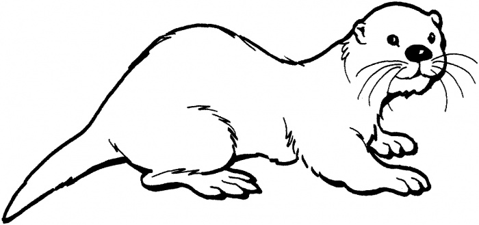 Otter Clipart Otter Coloring Page 54015 Jpg