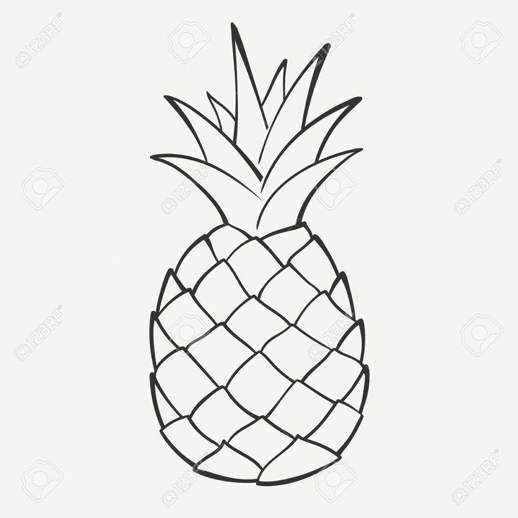 Outline Black And White Image Of A Pineapple Royalty Free Cliparts, Vectors, And Stock