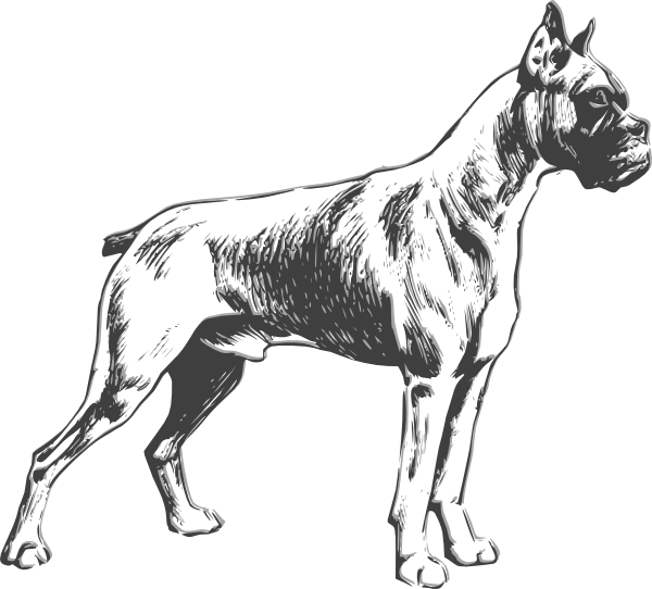 Outline Drawings of Dogs | dog clip art