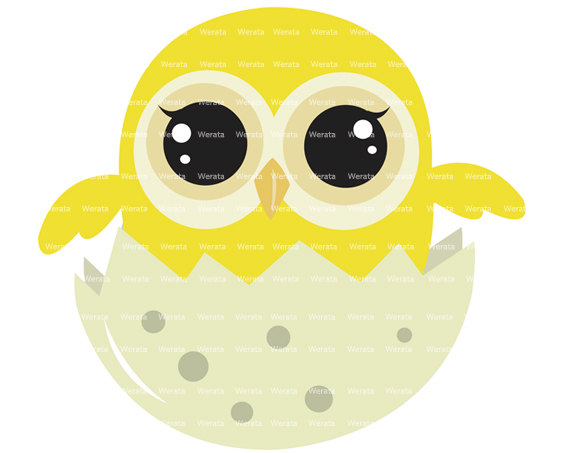 owl baby clip art - baby owl - Cute Owl Digital Clip Art - baby owl clipart - owl graphics - Personal and Commercial Use