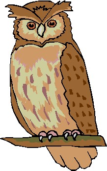 Owl Clip Art - Clipart Of Owls