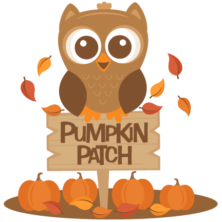 Owl in Pumpkin Patch SVG .